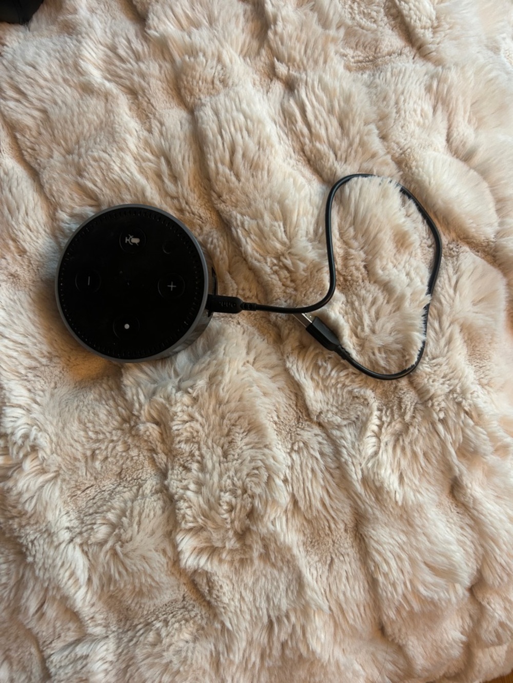 Amazon Black Echo Dot (with power cable)